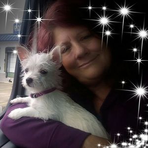 Meet your Posher, Dee